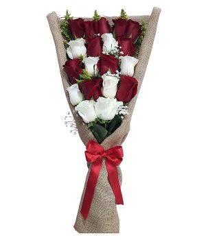Ramo de rosas rojas y blancas frescas, envuelto en tela rústica con lazo rojo.